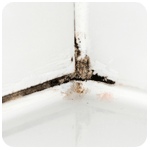 Küf Lekesi Nasıl Çıkar